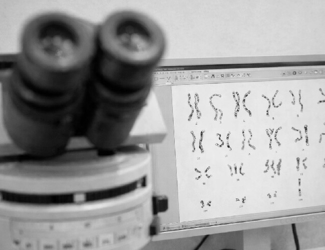 Danila Suárez Tomé Danila Suárez Tomé