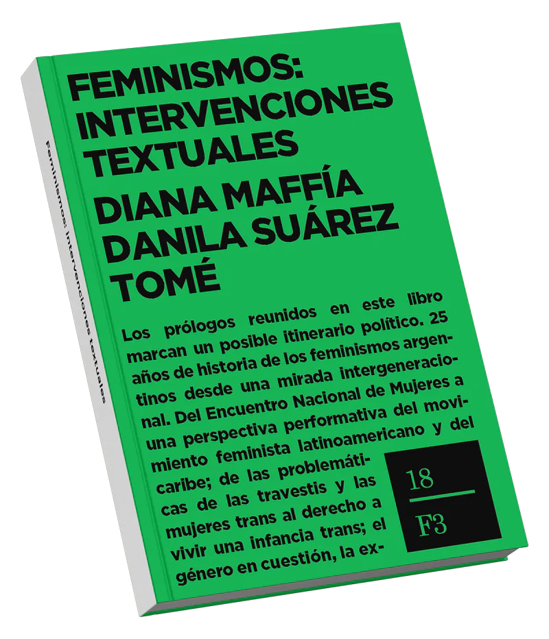 Feminismos intervenciones textuales